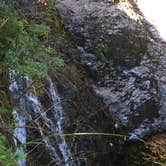 Review photo of Silver Falls State Park Campground by Molly H., June 3, 2018