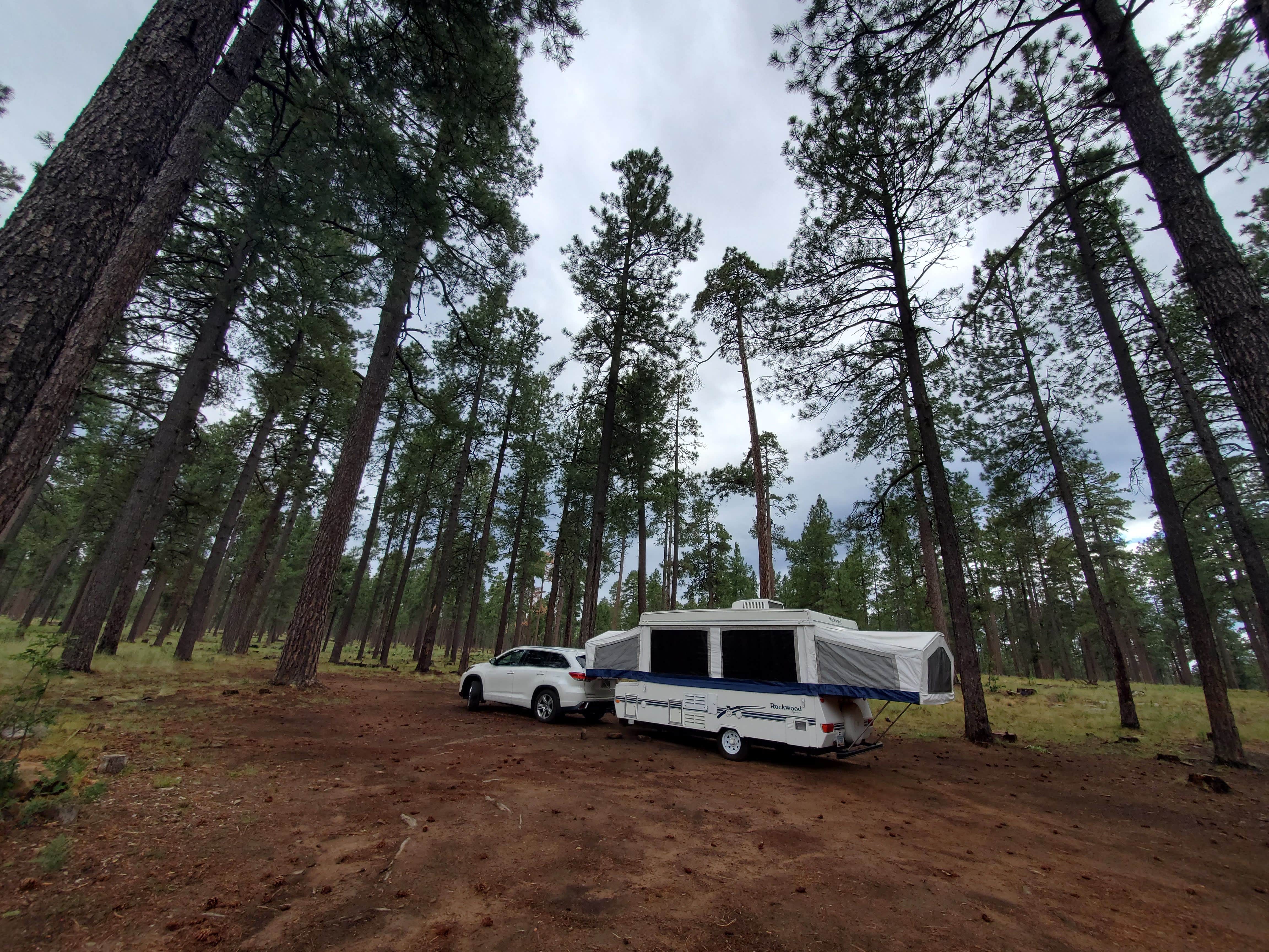 Christine S.'s photo at Fr 171 Campground near Young, AZ
