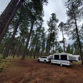 Review photo of Fr 171 Campground by Christine S., May 15, 2021