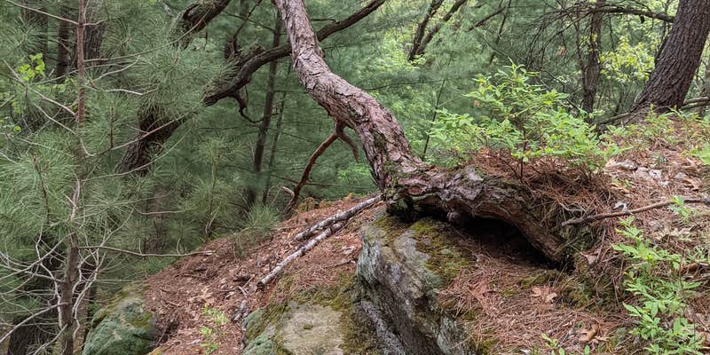 Camper submitted image from Mill Bluff State Park Campground