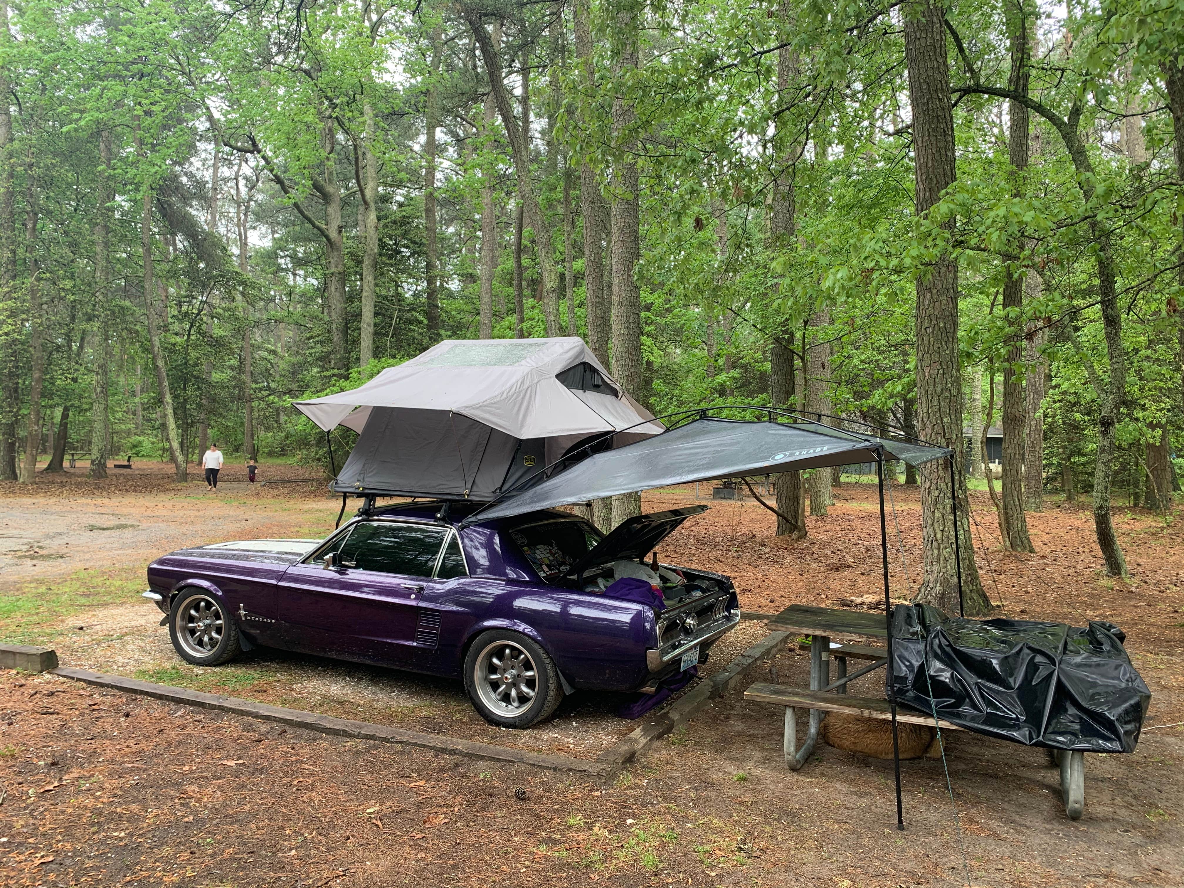 AdventureStang's photo at Kiptopeke State Park Campground near Townsend, VA
