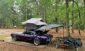 AdventureStang's photo at Kiptopeke State Park Campground near Townsend, VA