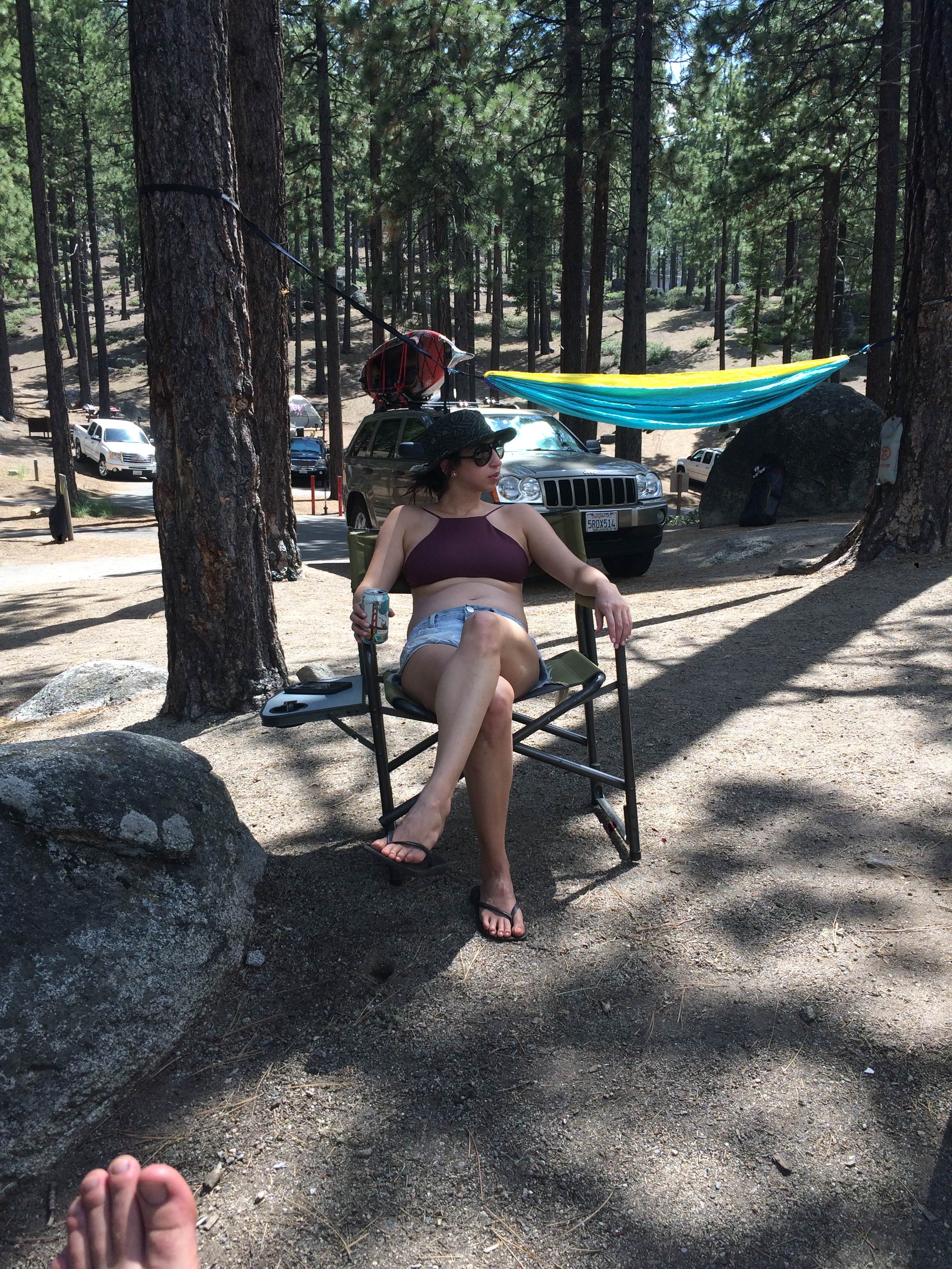 Camper submitted image from Tahoe Valley Campground - 3