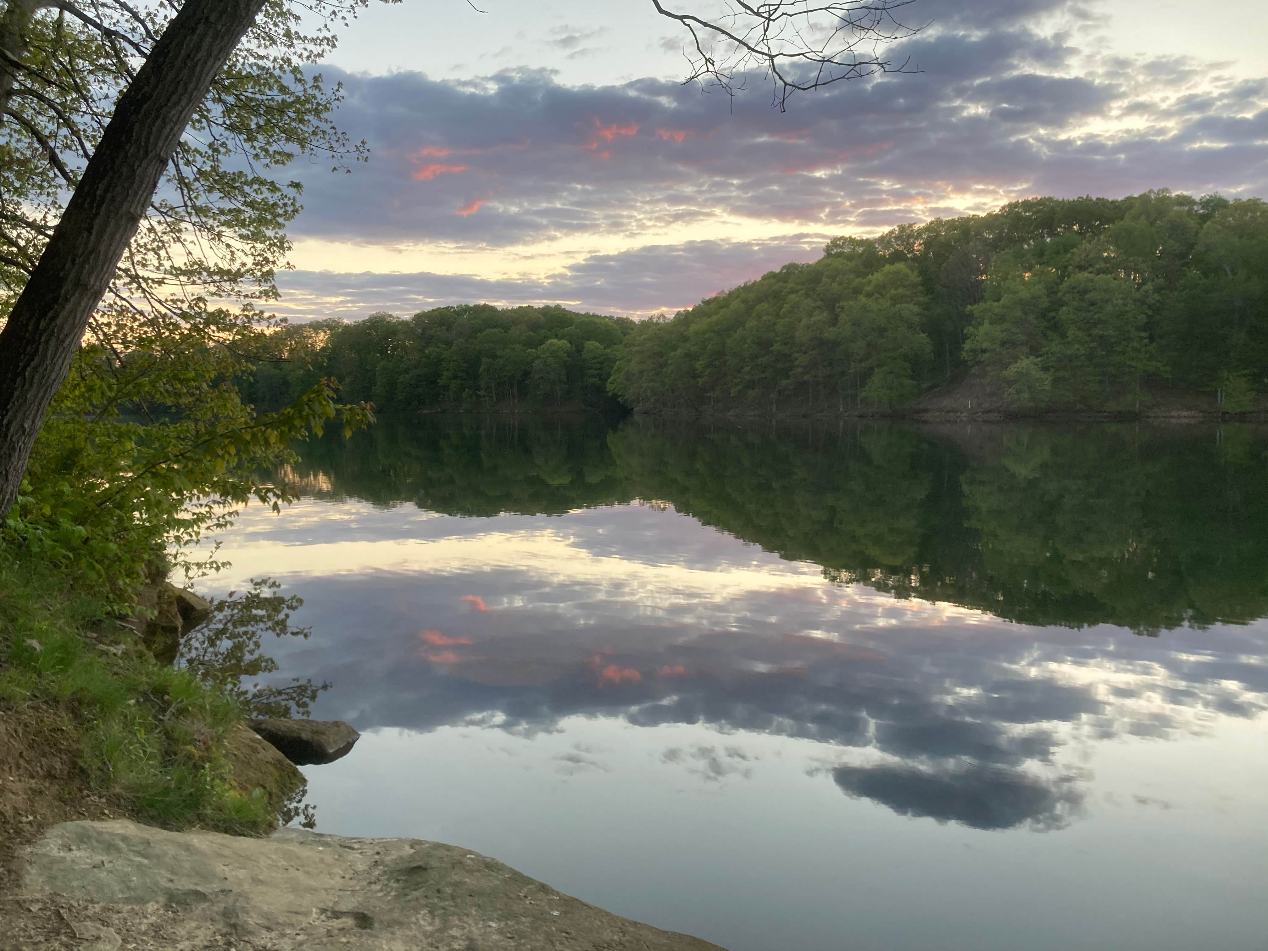 Wolf Run State Park  The Dyrt