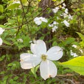 Review photo of Wolf Run State Park Campground by Darrel and Mary W., May 15, 2021