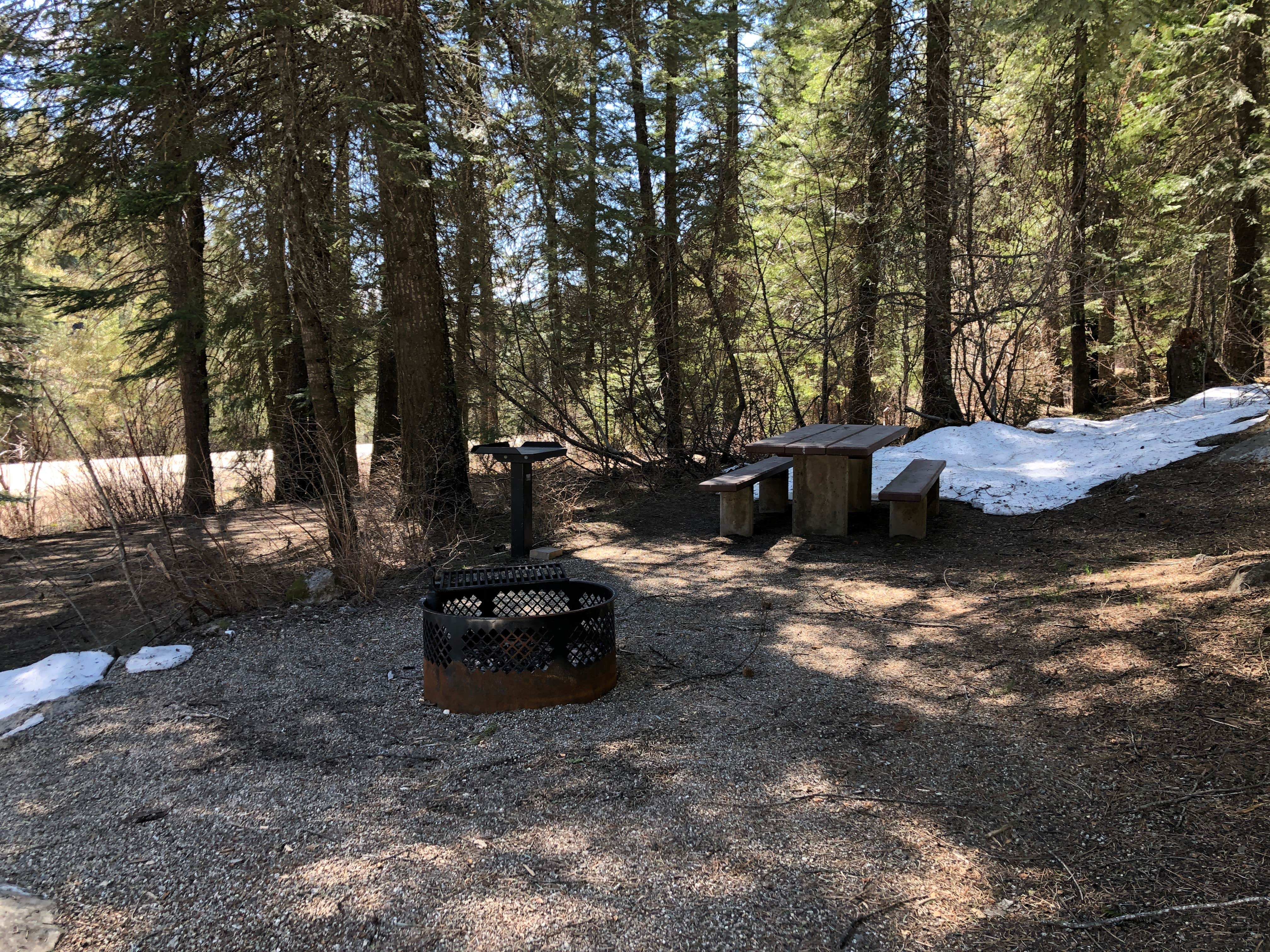 Camper submitted image from Swinging Bridge - 4