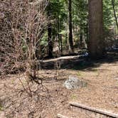 Review photo of Swinging Bridge by Amy S., May 15, 2021