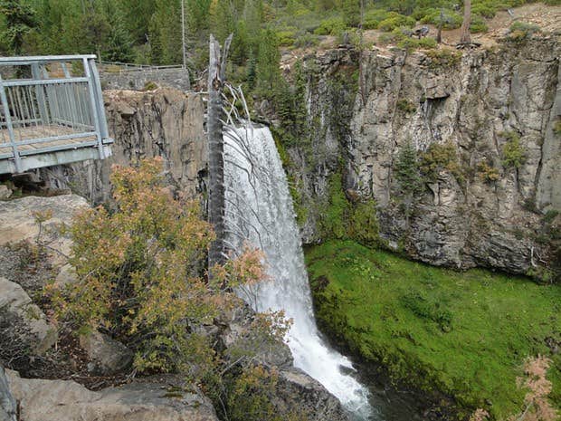 Camper submitted image from Tumalo State Park Campground - 3