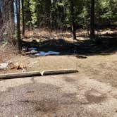 Review photo of Cold Springs Campground - Boise Nf (ID) by Amy S., May 15, 2021