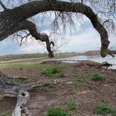 Review photo of Prewitt Reservoir State Wildlife Area by Karrigen P., May 16, 2021