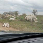 Review photo of Prewitt Reservoir State Wildlife Area by Karrigen P., May 16, 2021