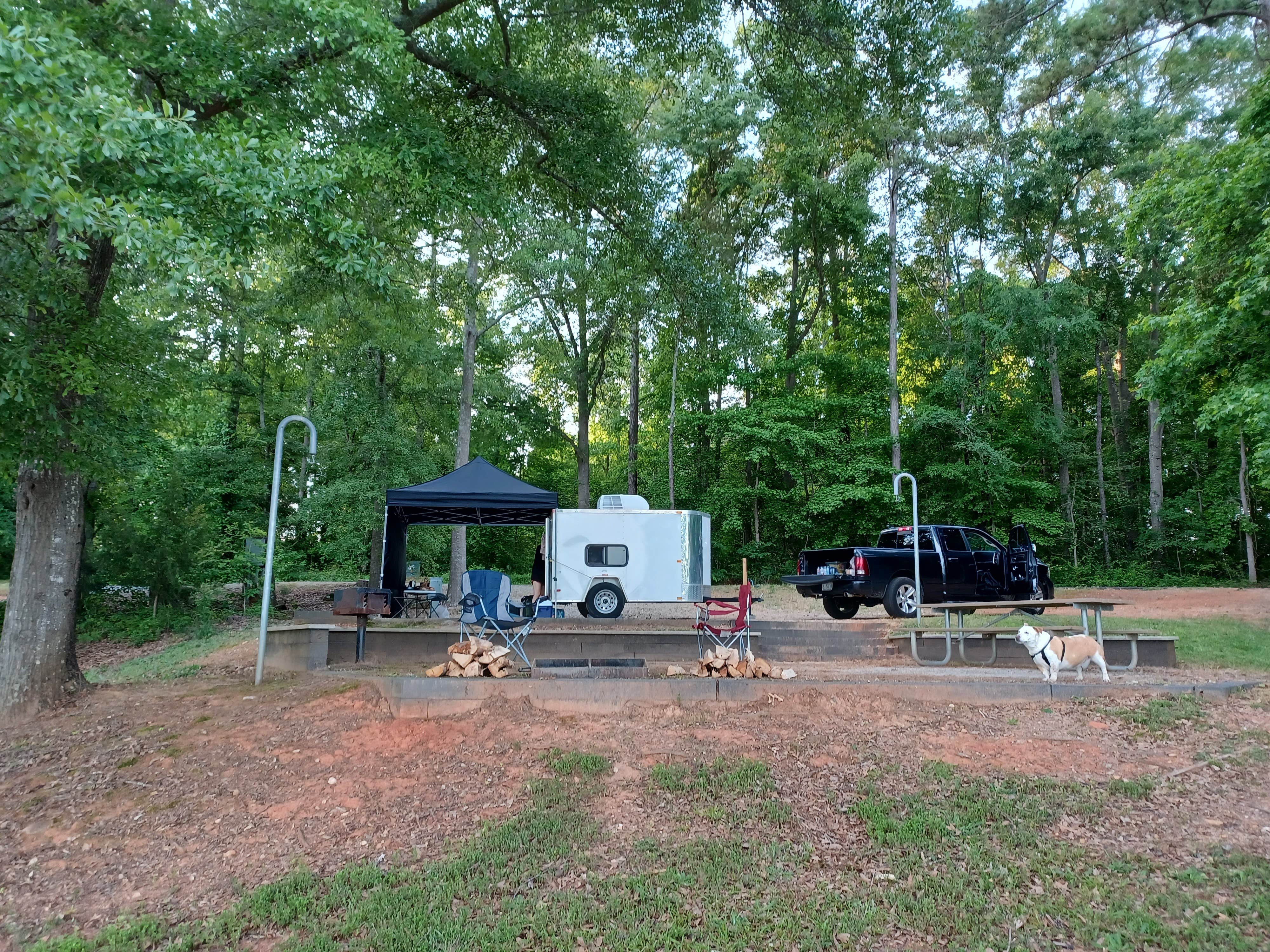 fletcher6531's photo of camping with pets at Oconee Point near Lavonia, GA