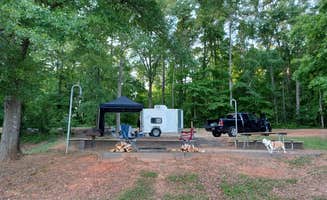 fletcher6531's photo of camping with pets at Oconee Point near Hartwell Lake