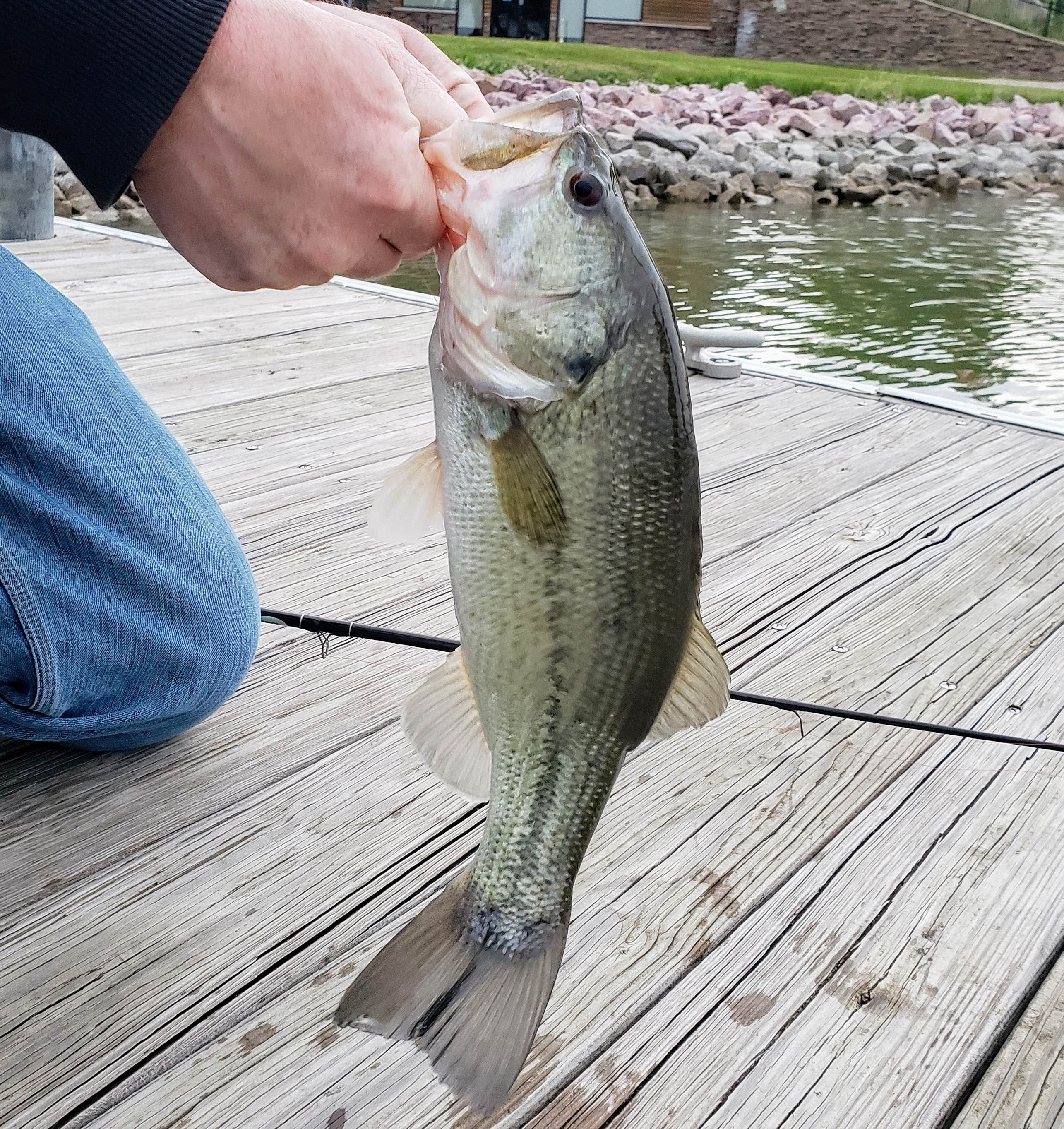 Best Camping Near Sioux City Iowa The Dyrt