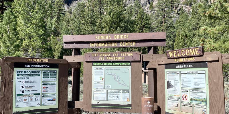 Camper submitted image from Sonora Bridge — Humboldt Toiyabe National Forest Headquarters