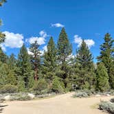 Review photo of Sonora Bridge — Humboldt Toiyabe National Forest Headquarters by Alison , May 16, 2021