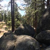 Review photo of Tahoe Valley Campground by Keef W., July 15, 2016