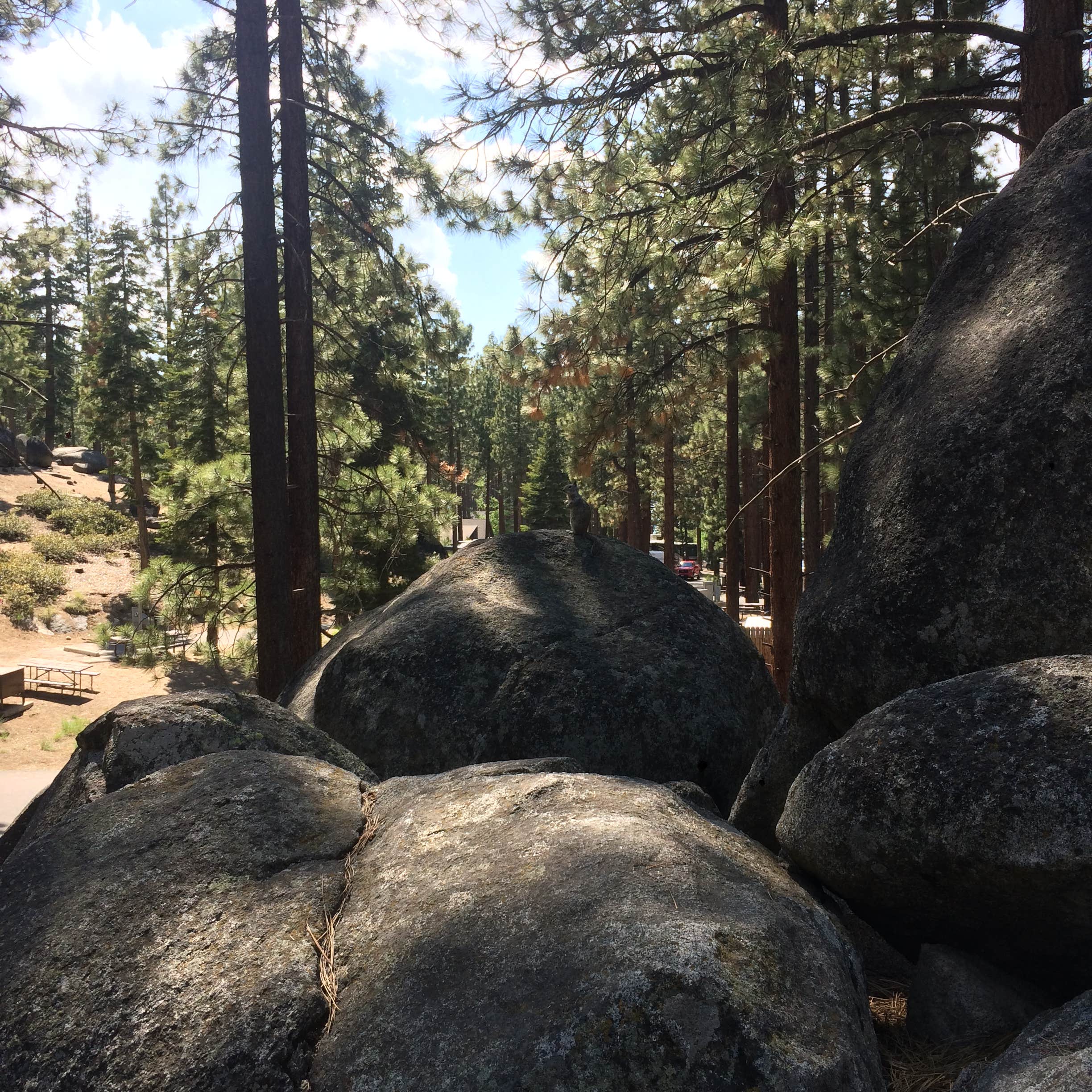 Camper submitted image from Tahoe Valley Campground - 2