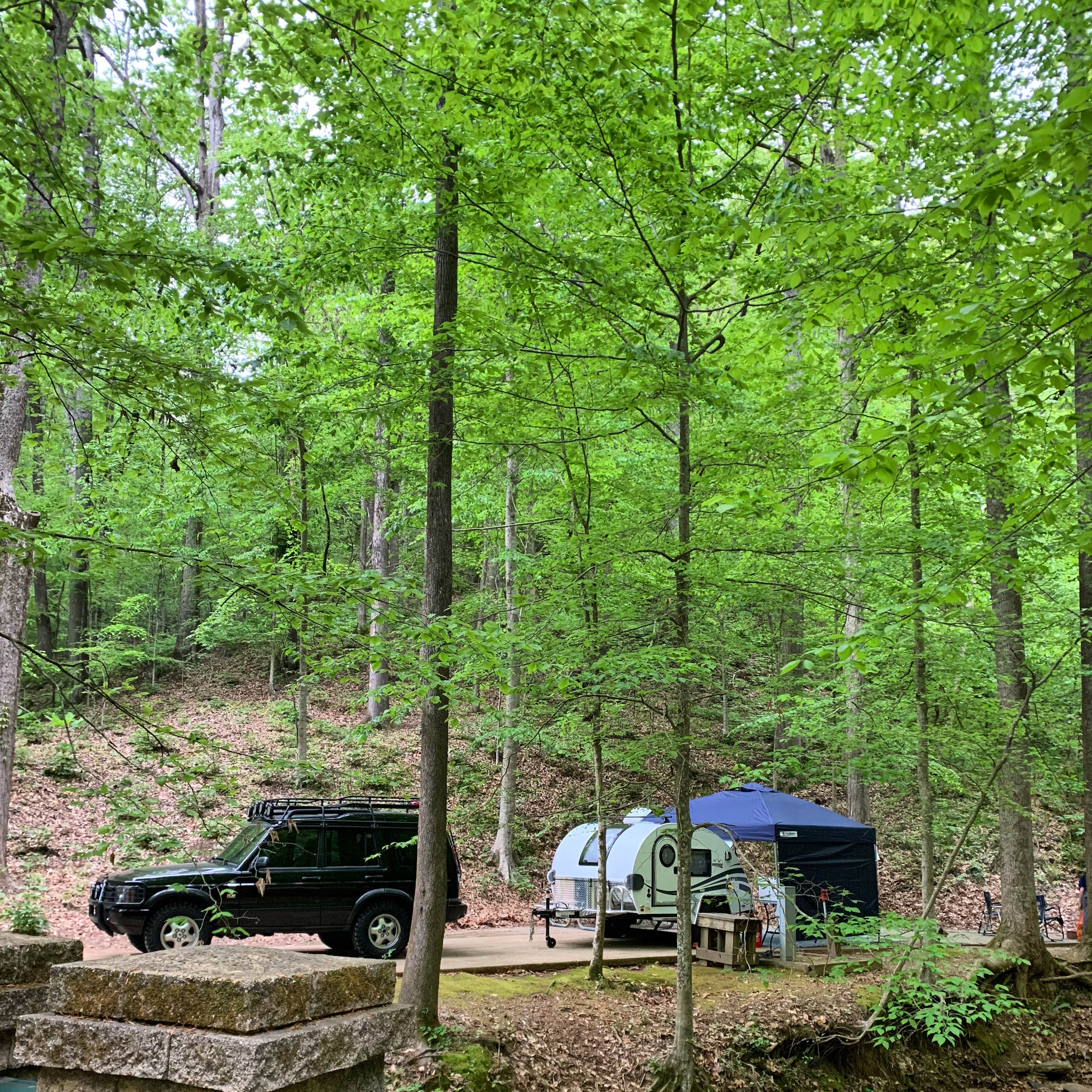 Genie C.'s photo at Burchfield Branch Park near Hoover, AL