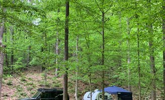 Genie C.'s photo at Burchfield Branch Park near Shannon, AL