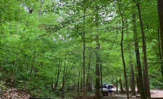 Genie C.'s photo at Burchfield Branch Park near Midfield, AL