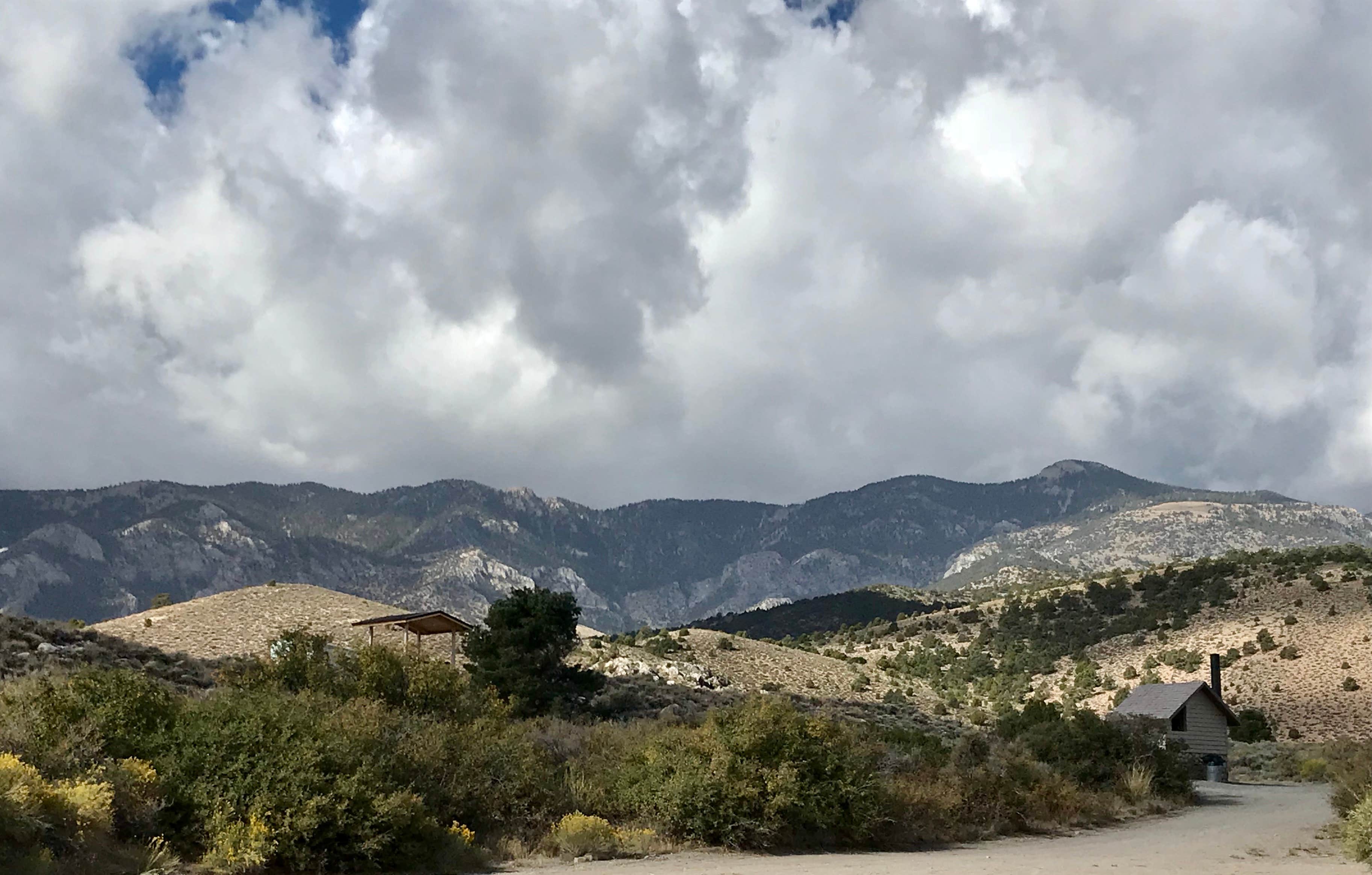 Camping near Timber Creek Campground: Cleve Creek Campground, Ely, Nevada