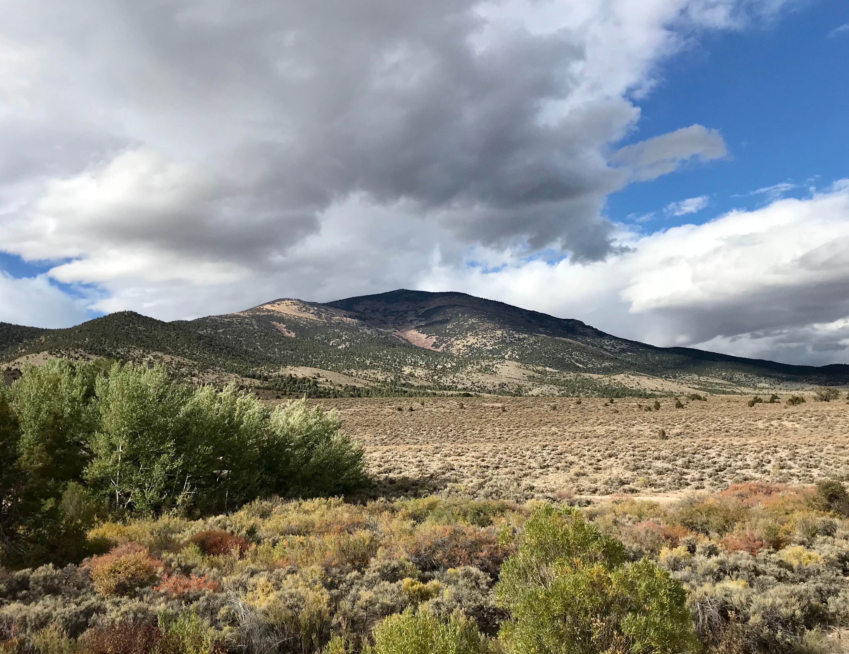 Camper-submitted photo at Cleve Creek Campground near Ely, NV