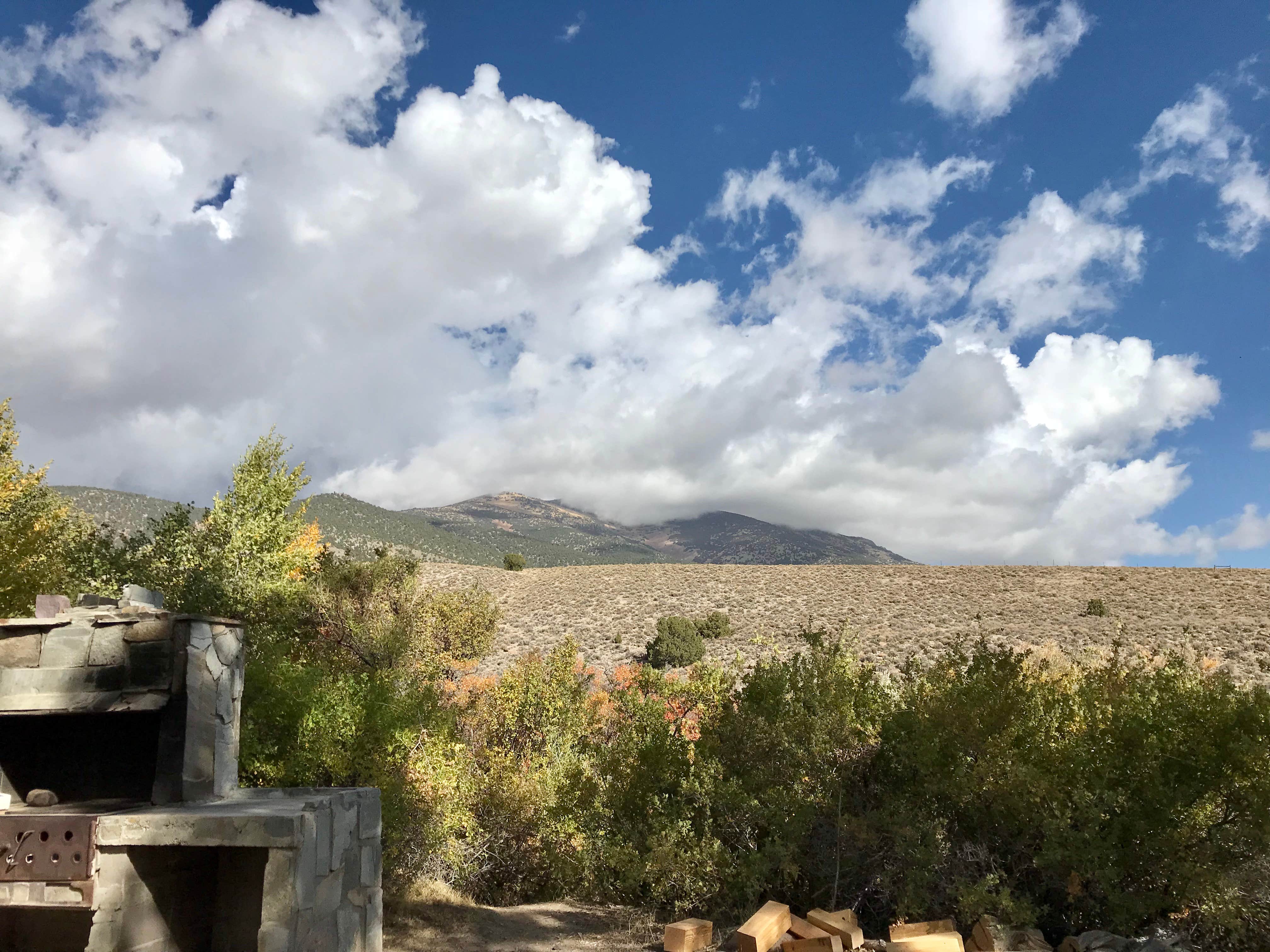 Camper-submitted photo at Cleve Creek Campground near Ely, NV