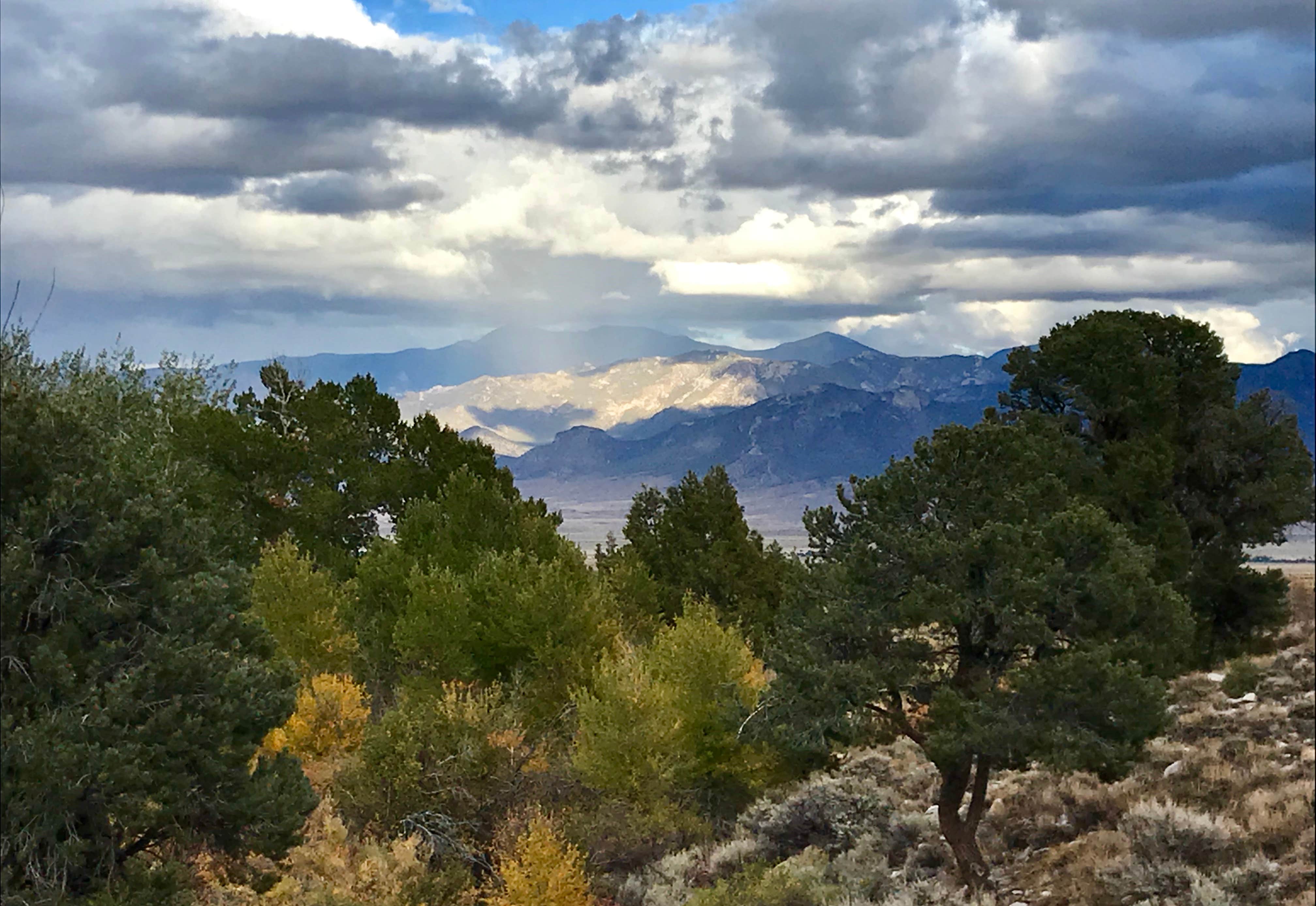 Camper-submitted photo at Cleve Creek Campground near Ely, NV