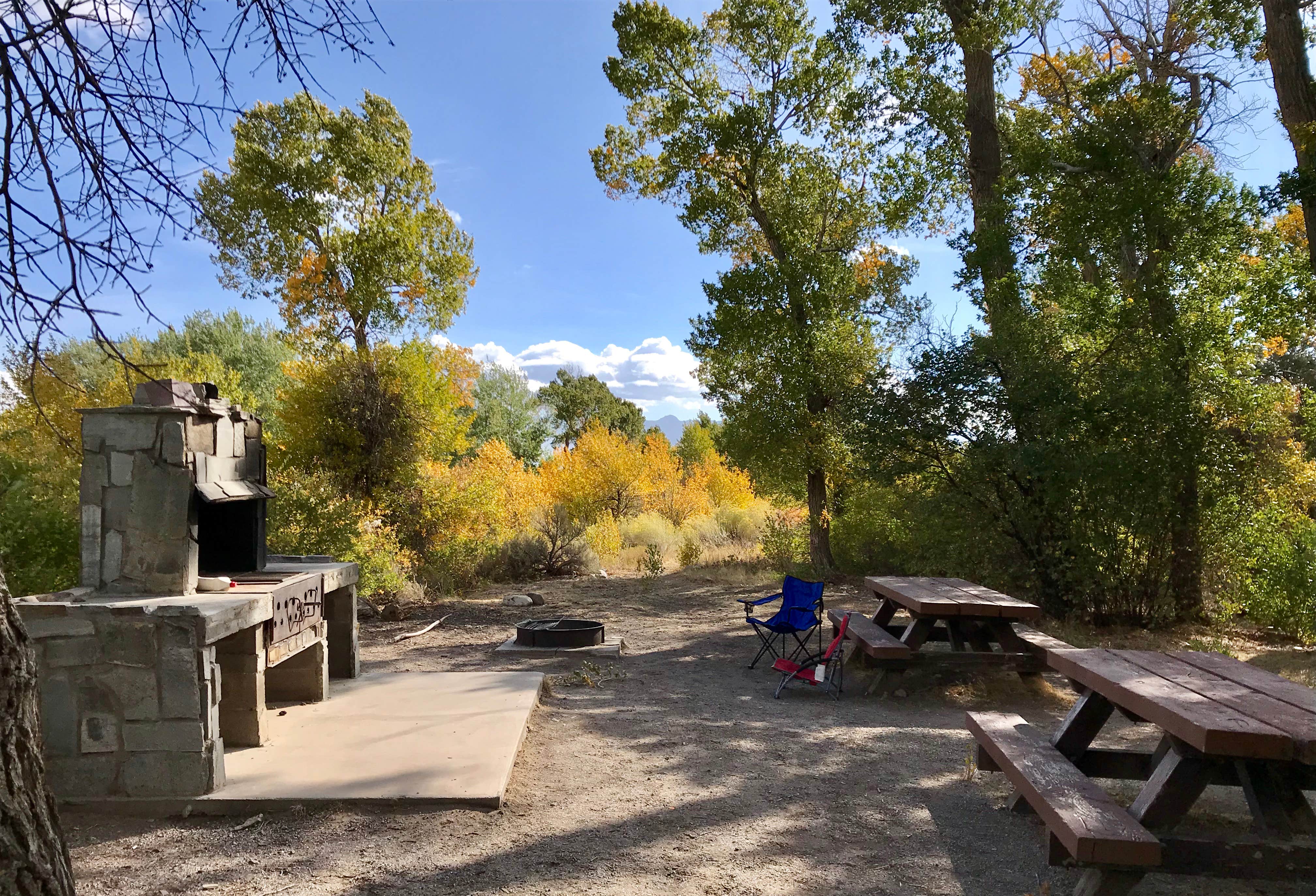 Camper-submitted photo at Cleve Creek Campground near Ely, NV