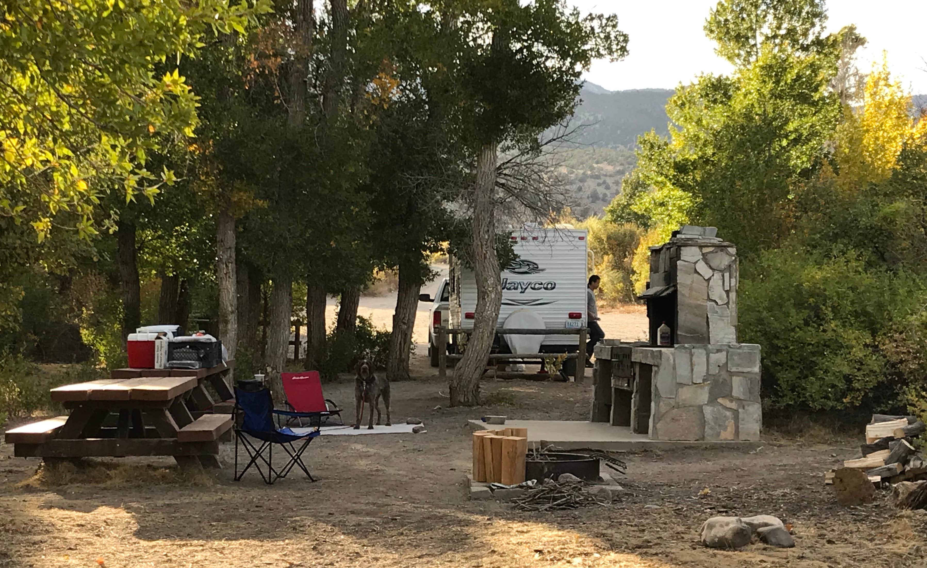 Camper submitted image from Cleve Creek Campground - 5