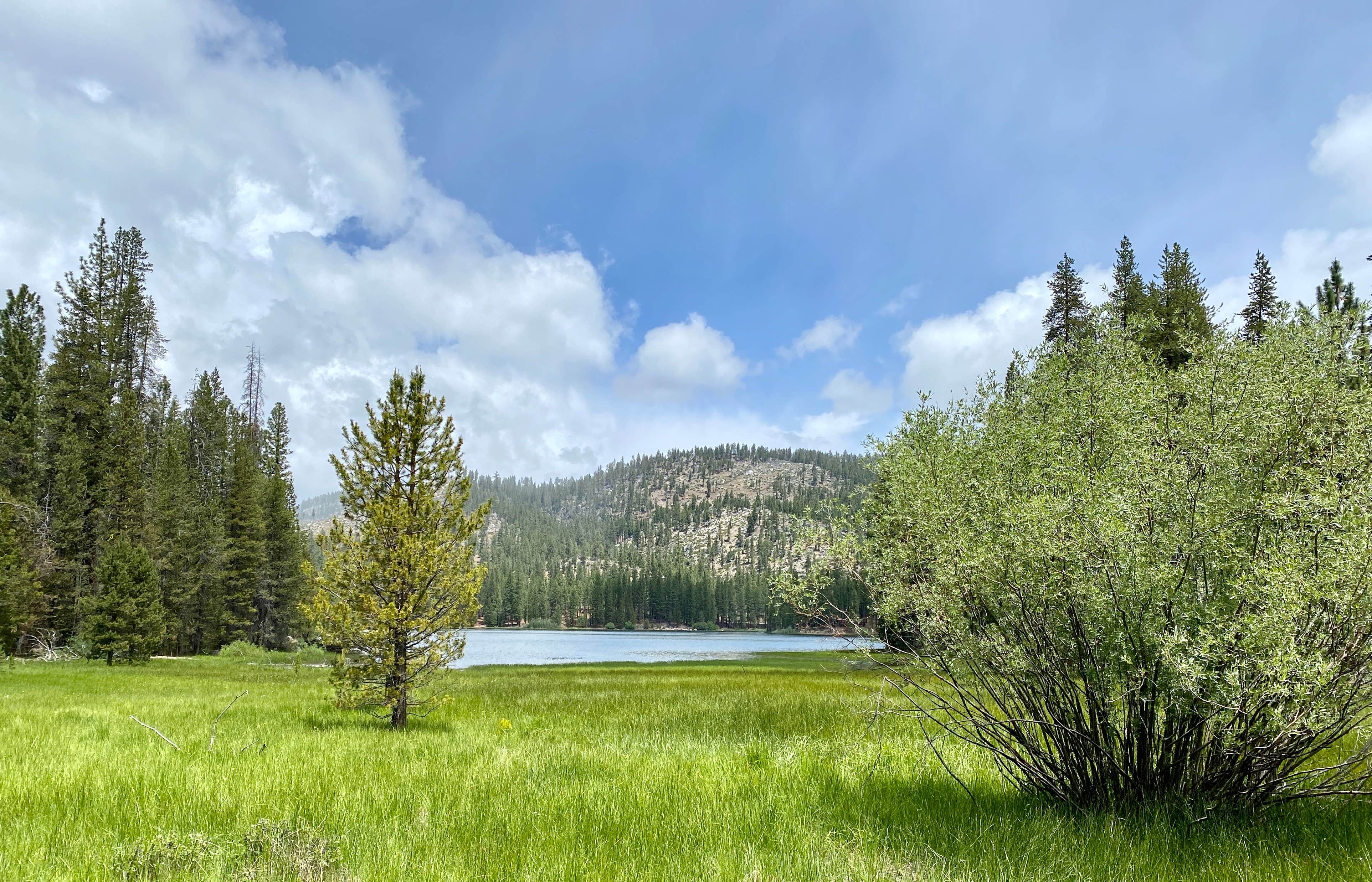 Camper-submitted photo at Long Point Campground near Crescent Mills, CA