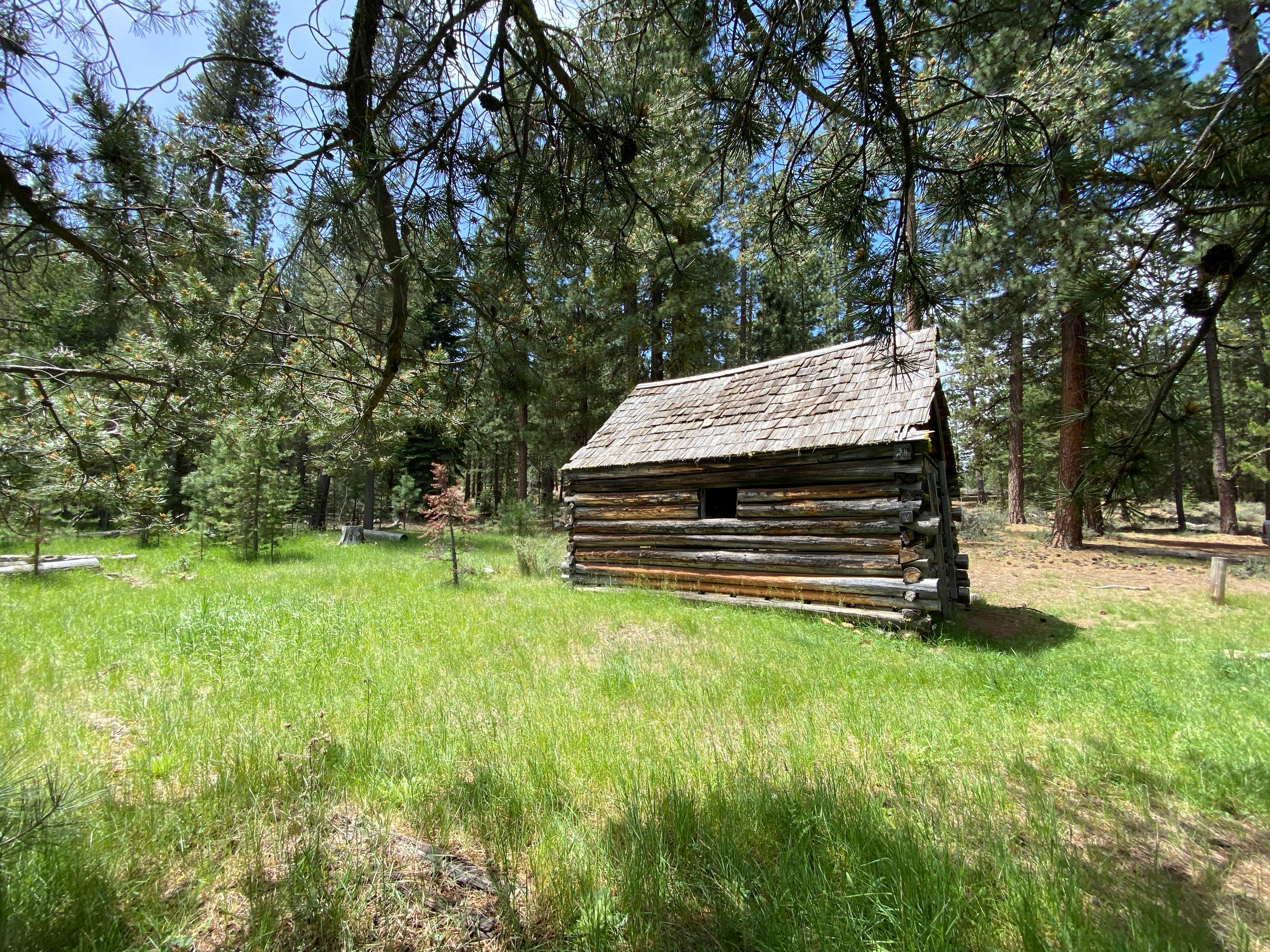 Alison's photo of glamping accommodations at Long Point Campground near Chester, CA
