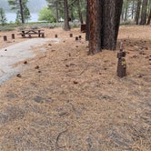 Review photo of Long Point Campground by Alison , May 16, 2021