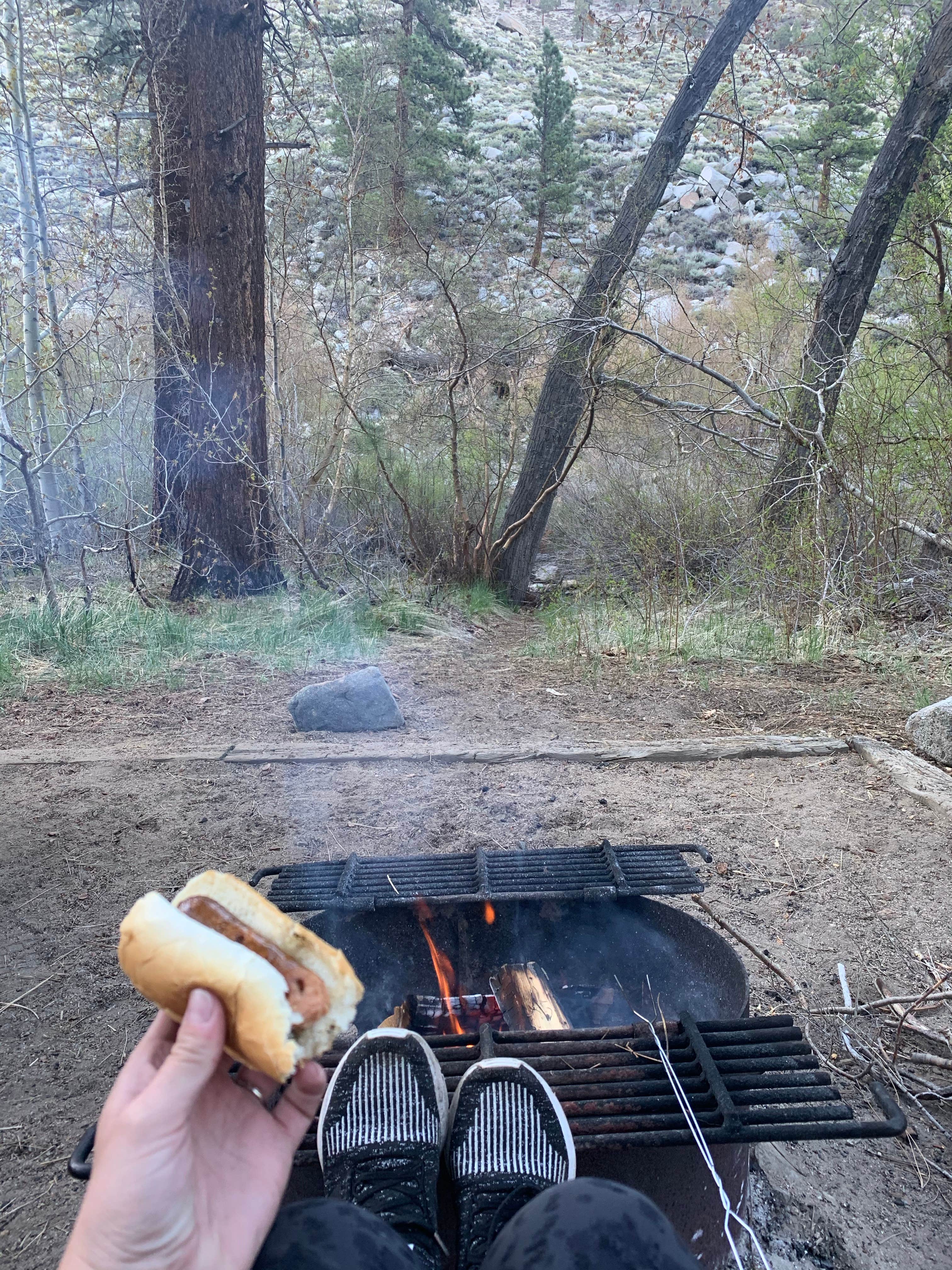 Ashley's photo of camping with pets at Big Pine Creek Campground near Big Pine, CA