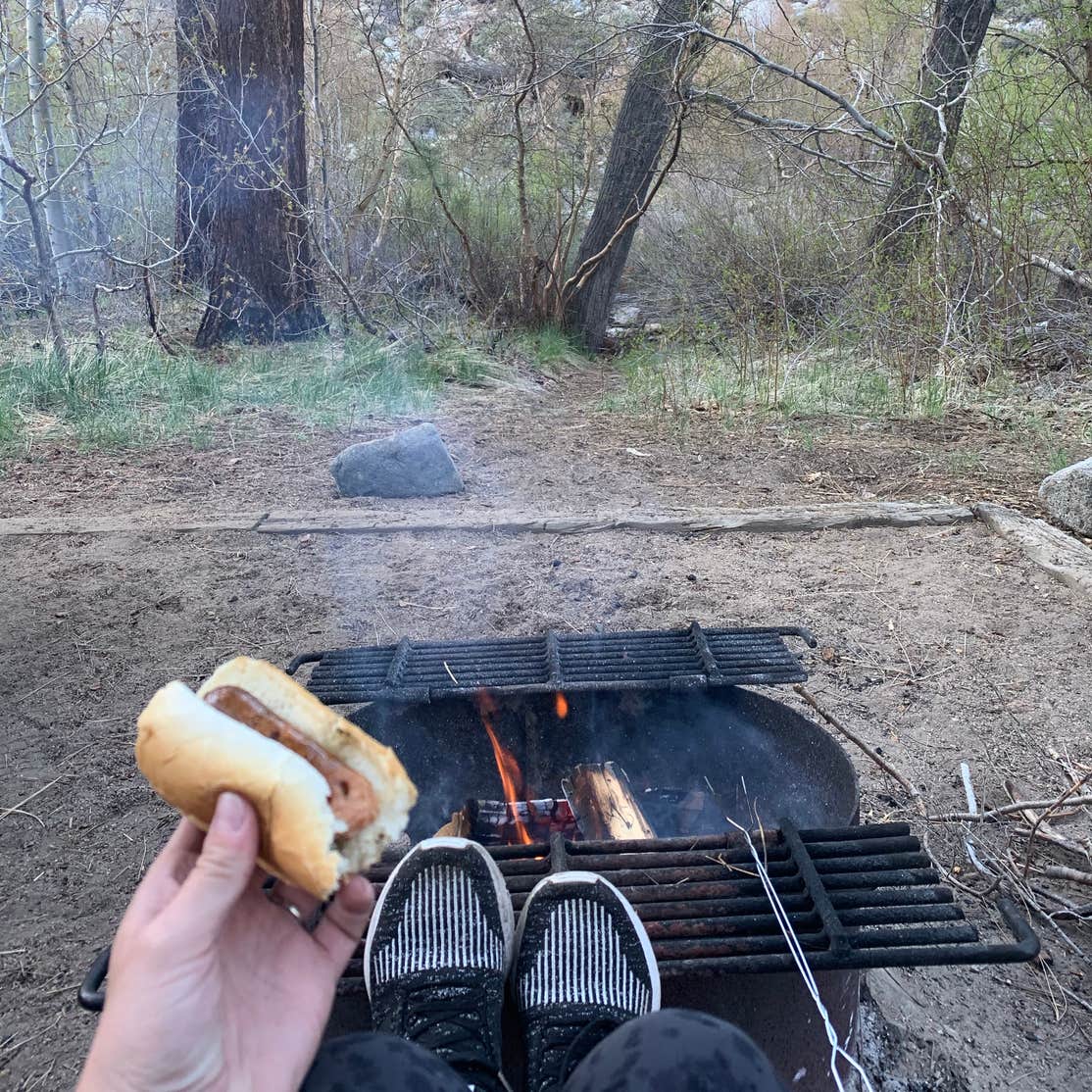 Big Pine Creek Campground | Big Pine, CA