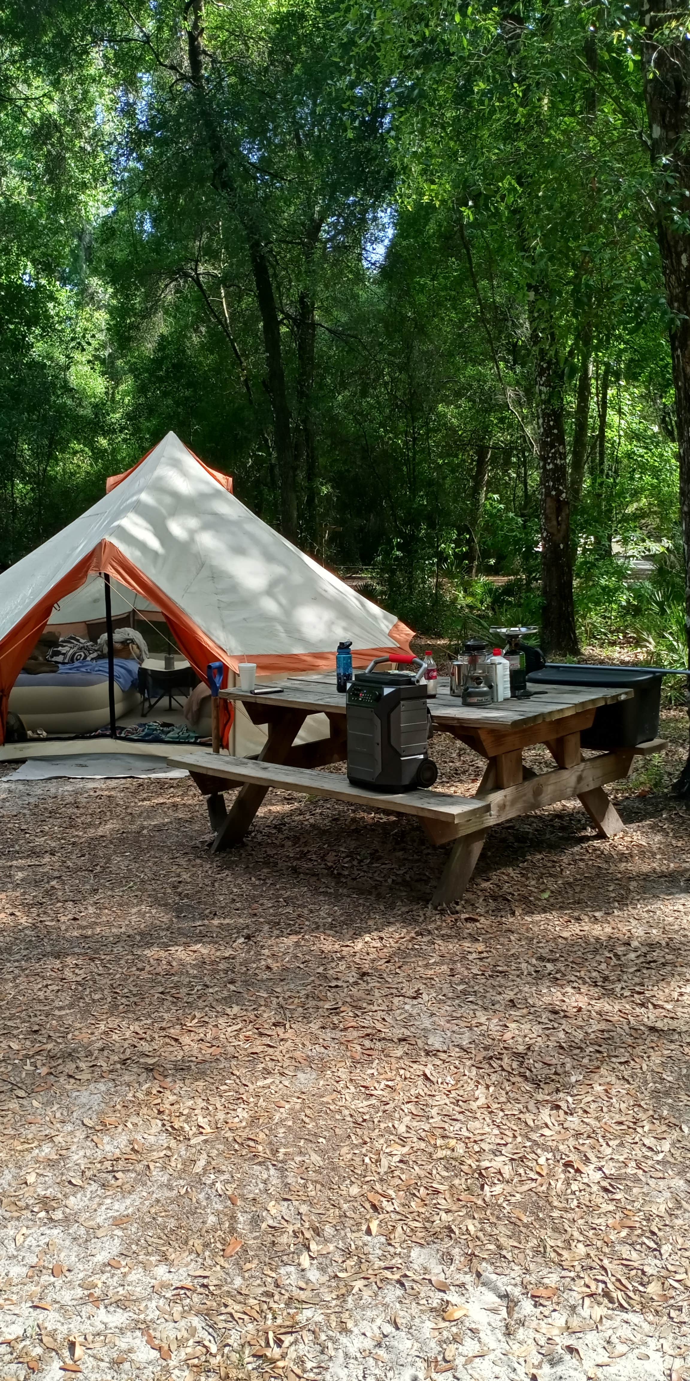 Rusty R.'s photo at Hog Island Campground — Withlacoochee State Forest near Nobleton, FL