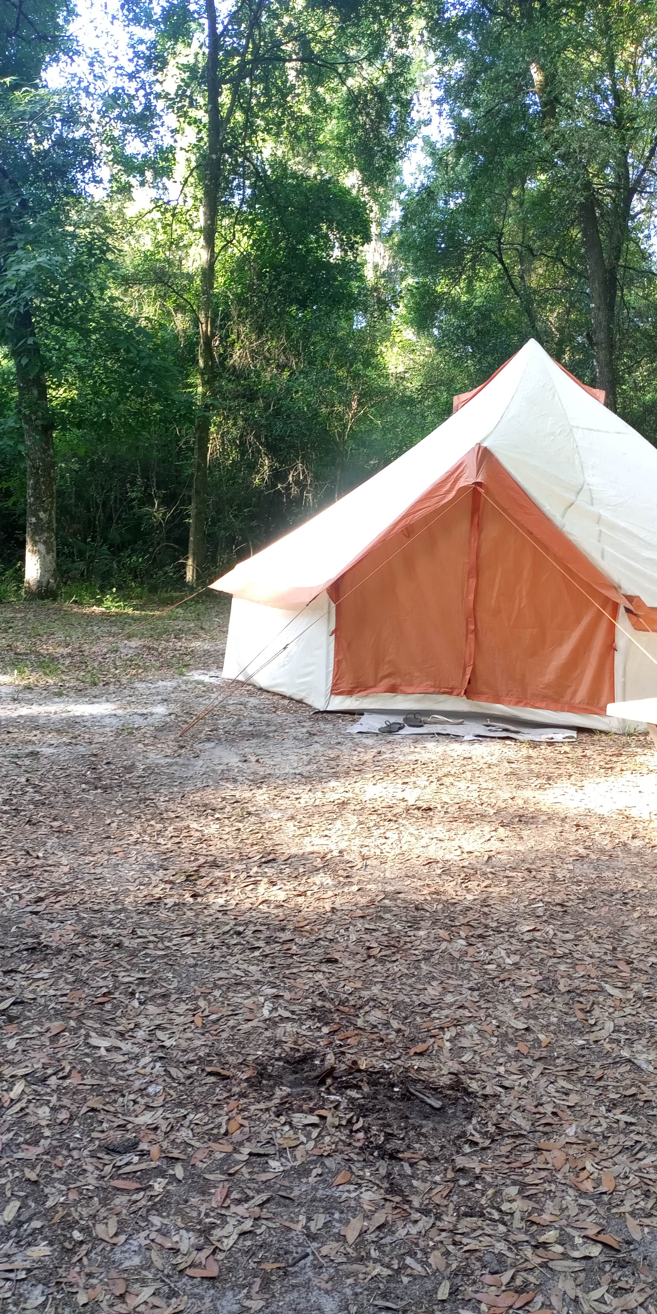 Rusty R.'s photo at Hog Island Campground — Withlacoochee State Forest near Floral City, FL