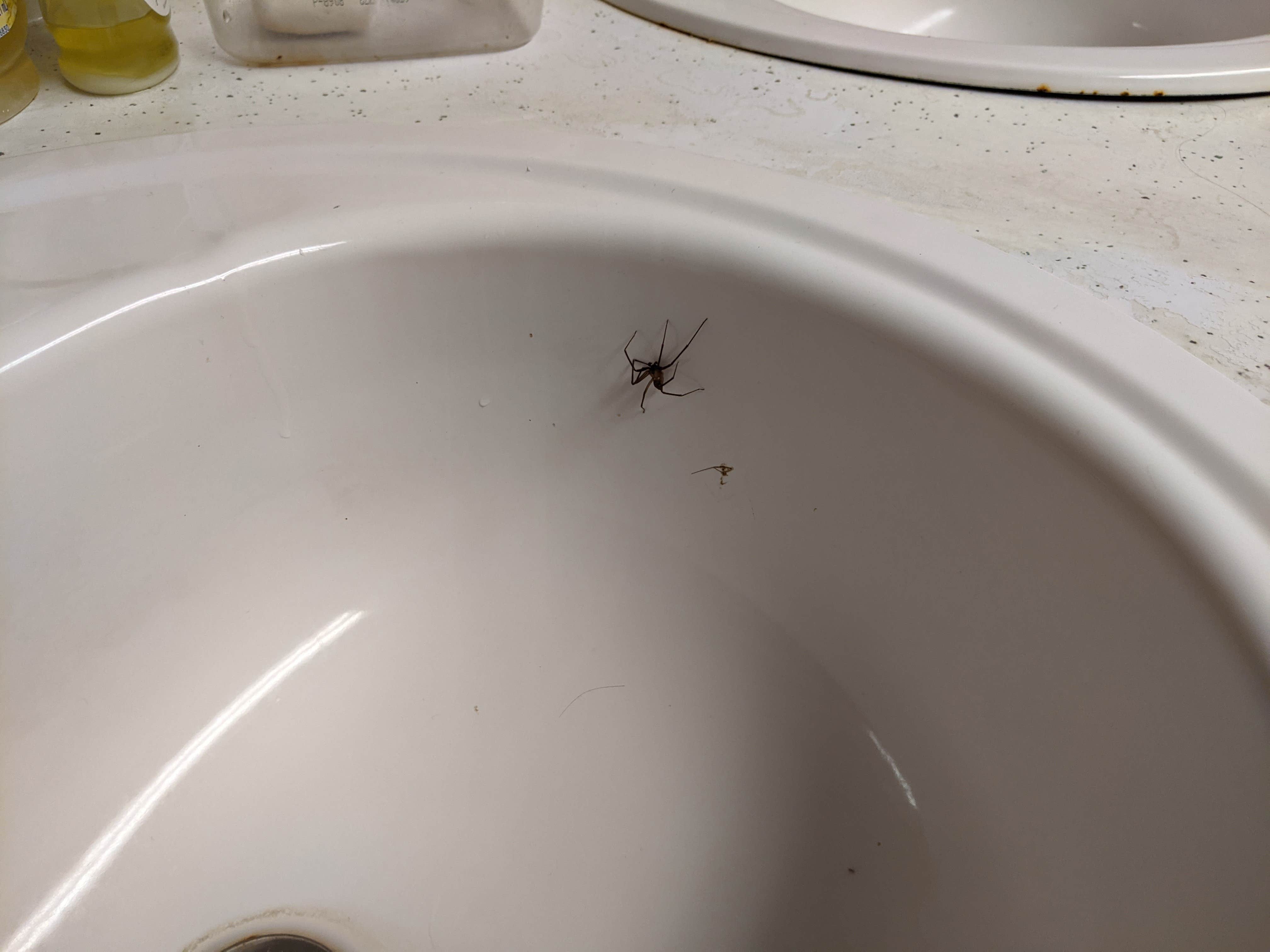 Camper-submitted photo at Joy-O RV Park near Pinson, TN