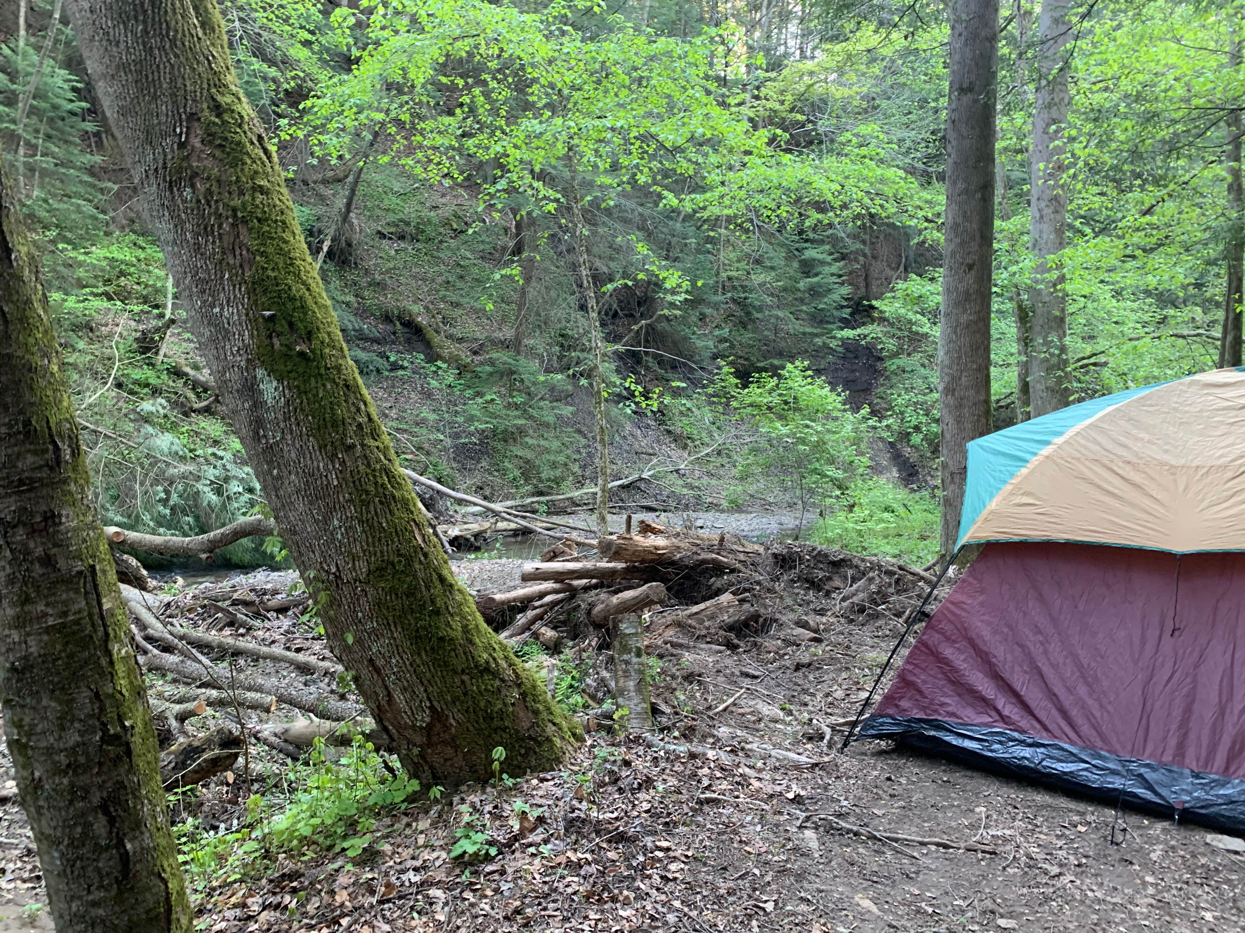 Taylor S.'s photo at Breakneck Campground near Coraopolis, PA