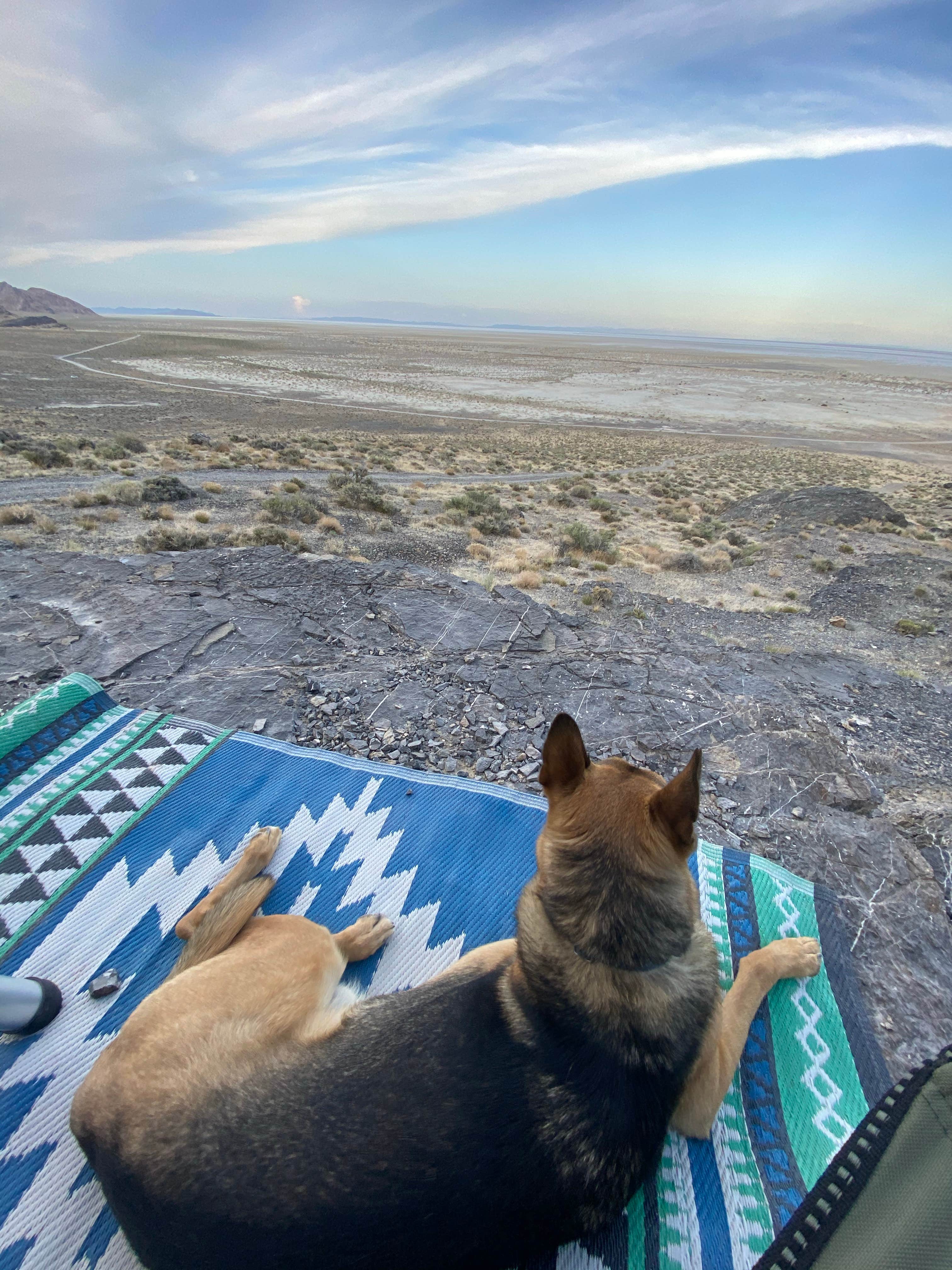 Ian B.'s photo of camping with pets at Volcano Peak Campground (Dispersed) near West Wendover, NV