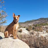 Review photo of Rose Canyon Campground by Chip , May 16, 2021