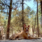 Review photo of Rose Canyon Campground by Chip , May 16, 2021