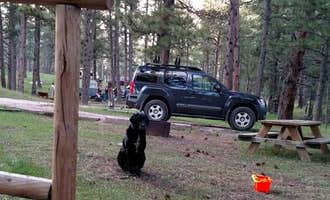Camping near Sylvan Lake Campground — Custer State Park: Fort Welikit Family Campground and RV Park, Custer, South Dakota