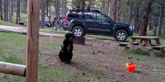 Camper submitted image from Fort Welikit Family Campground and RV Park