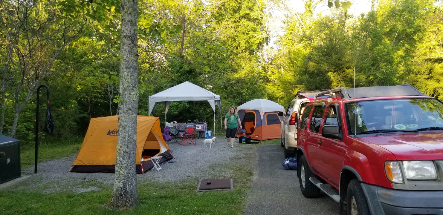 Blue Heron Campground | The Dyrt