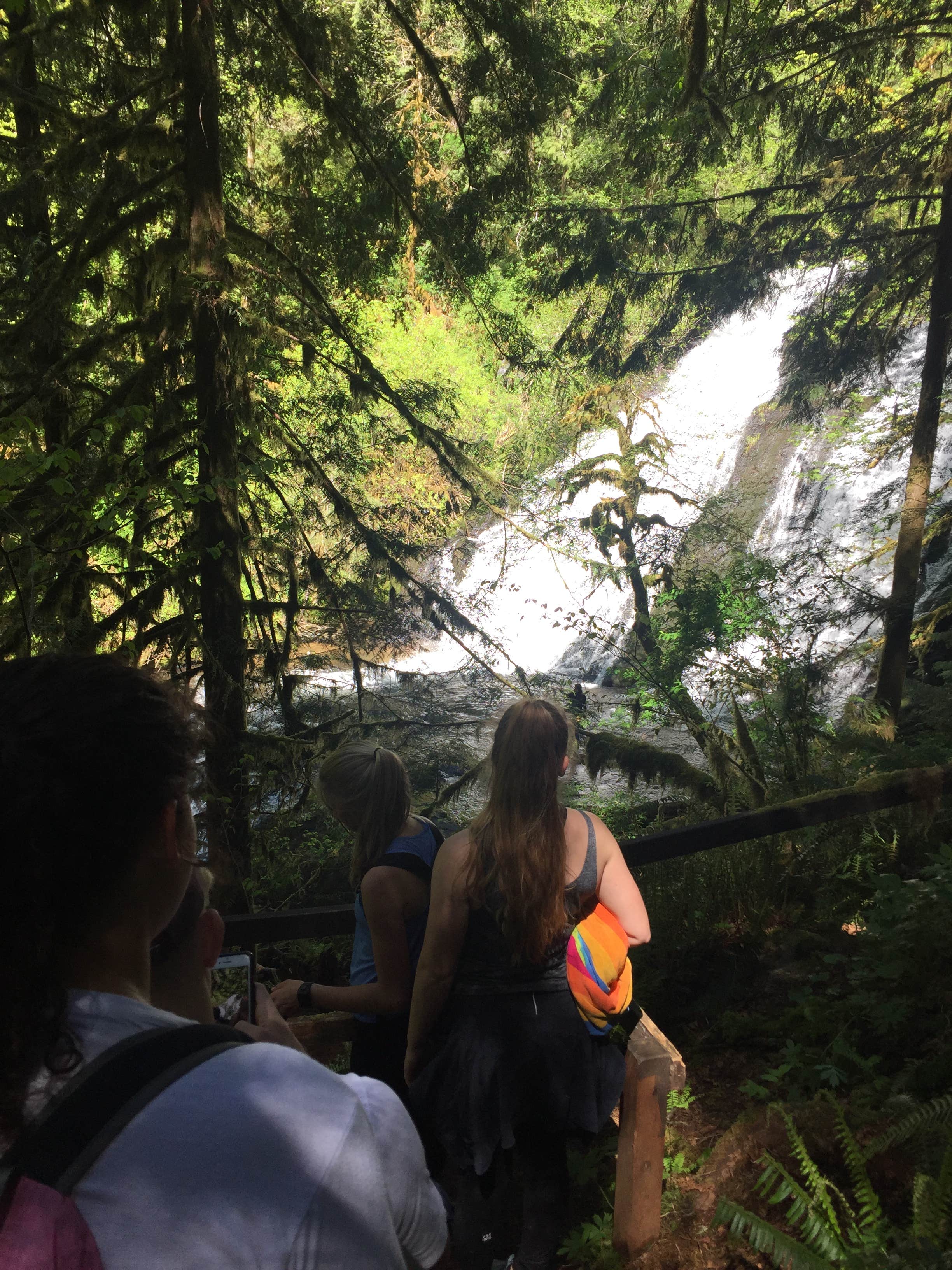 Camper-submitted photo at Alsea Falls near Monroe, OR