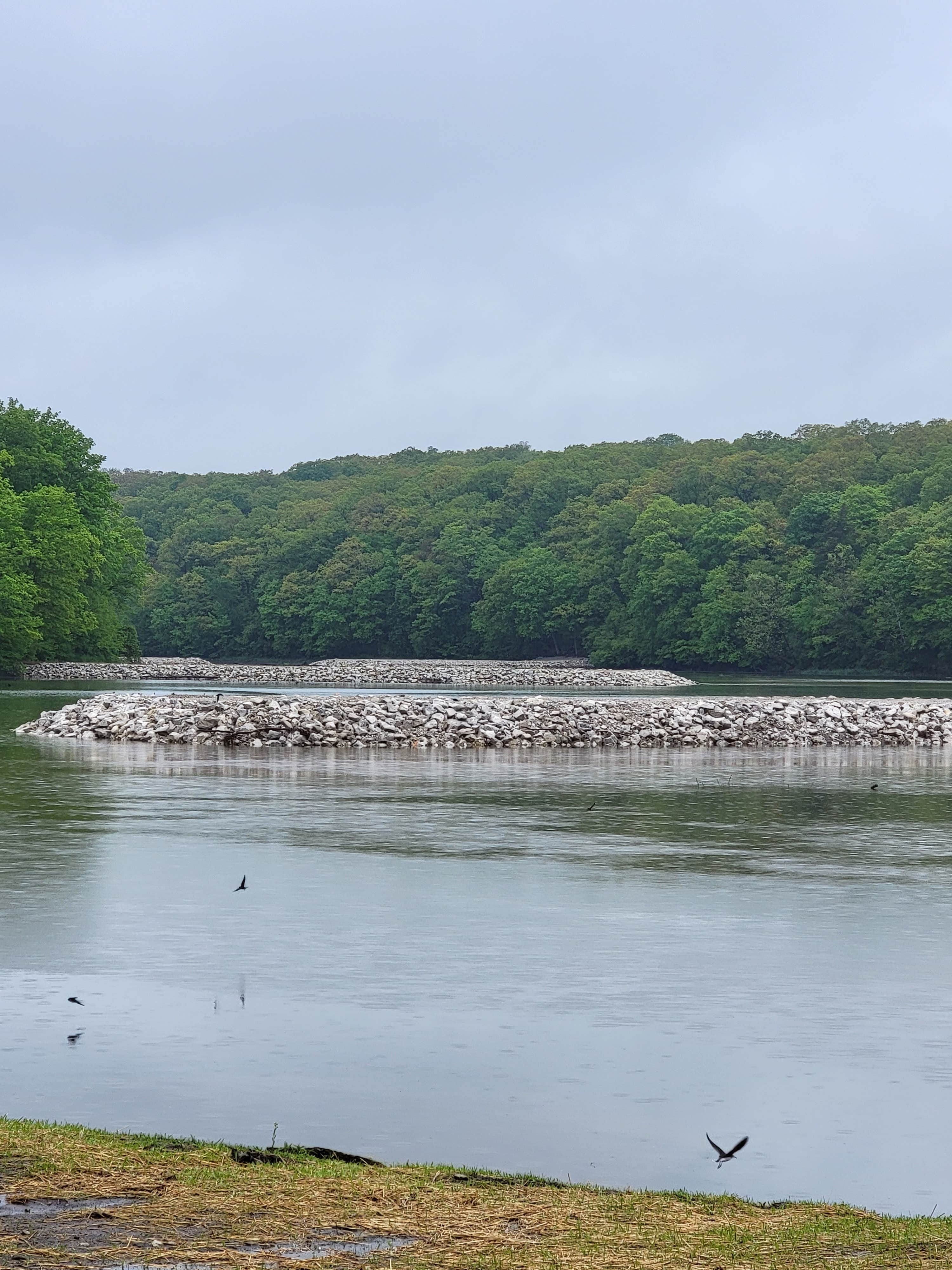 Camper submitted image from Geode State Park Campground - 4