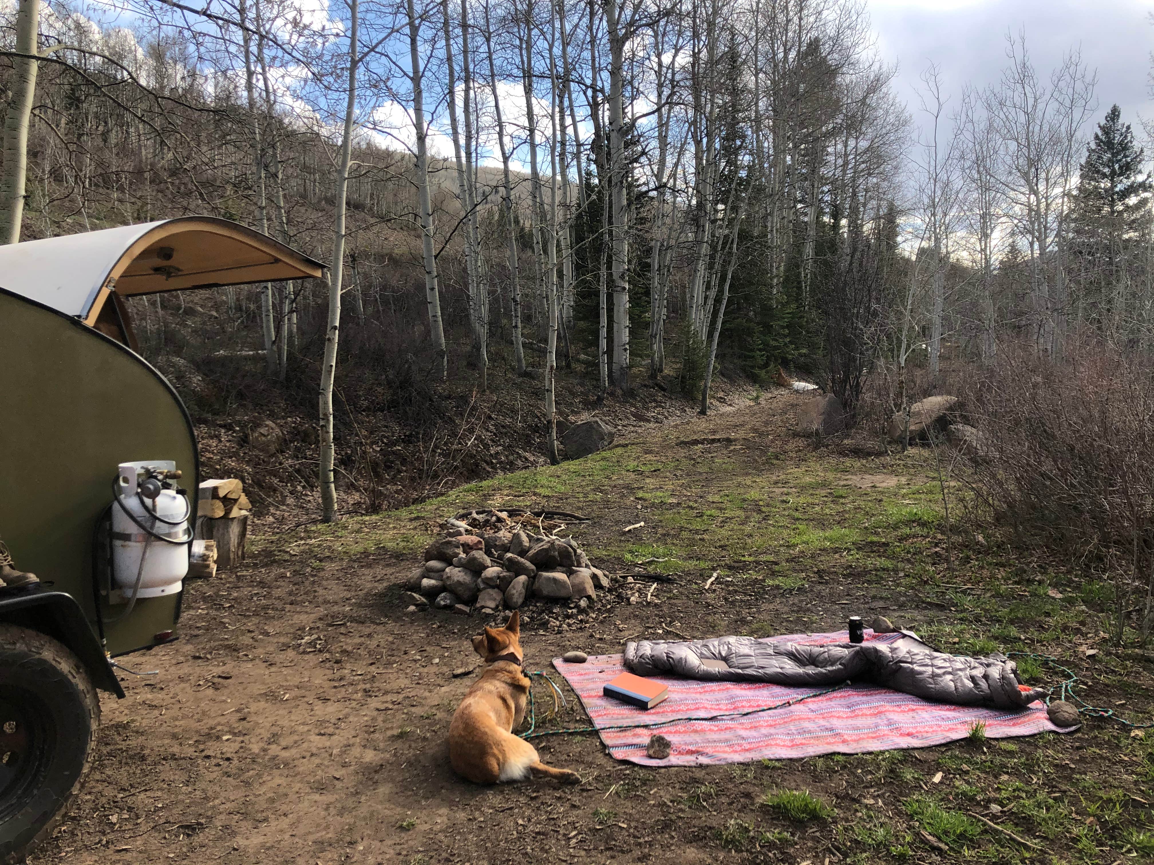 Emma B.'s photo of camping with pets at Four Mile Road Dispersed near Glenwood Springs, CO