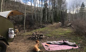 Emma B.'s photo of camping with pets at Four Mile Road Dispersed near Glenwood Springs, CO